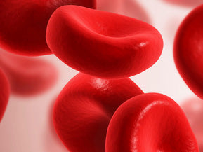 Iron Really Matters!